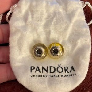 Pandora Charms* sold*